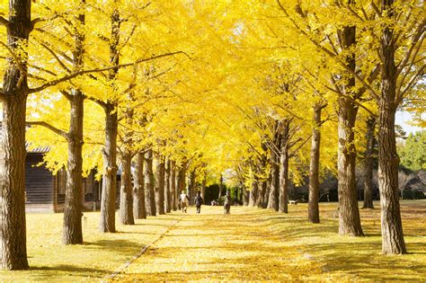 雨日|日本の四季折々の風景に欠かせない「雨」の美しい表現 72種類。